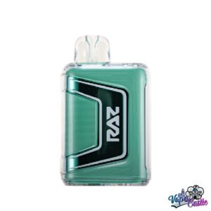 Raz 9000 Miami Mint - Disposable Vape
