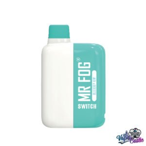 Mr Fog switch 5500 Blueberry Kiwi