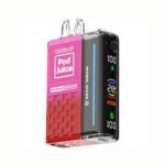 Juicy Bae Watermelon - Oxbar Pod Juice Magic Maze 30K Puffs - 2.0 (Zodiac Edition)