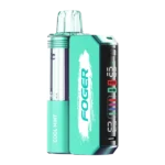 COOL MINT FOGER SWITCH PRO 30K PUFFS - DISPOSABLE PODS