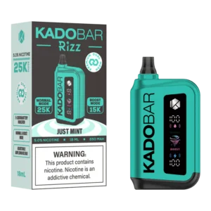 Kado Bar Rizz Just Mint Disposable Vape – 25000 Puffs