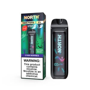 CYAN BERRIES - NORTH VISION 15K PUFFS - DISPOSABLE VAPE