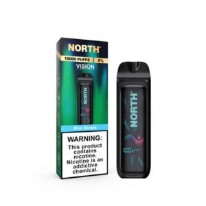BLUE SLURPIE - NORTH VISION 15K PUFFS - DISPOSABLE VAPE