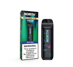 BLUE RAZZ - NORTH VISION 15K PUFFS - DISPOSABLE VAPE