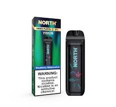 BLUEBERRY WATERMELON - NORTH VISION 15K PUFFS - DISPOSABLE VAPE