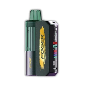 ICY MINT - FOGER SWITCH PRO 30K PUFFS - DISPOSABLE PODS