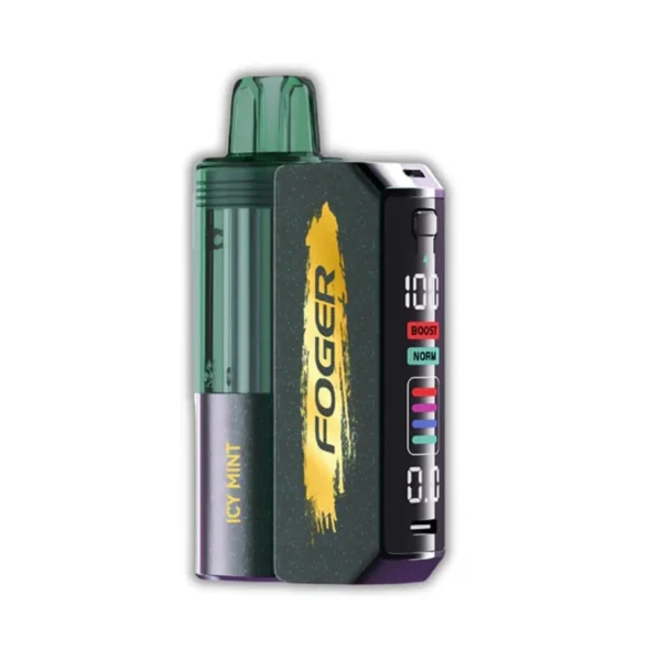 ICY MINT - FOGER SWITCH PRO 30K PUFFS - DISPOSABLE PODS