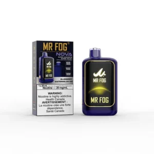 BLUEBERRY WATERMELON ICE - Mr Fog Nova 36K Puffs - Disposable Vape