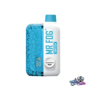 Buy Mr Fog Switch 15000 Blueberry Myst Vape | USA