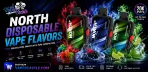 North Disposable Vape Flavors complete 2026 guide featuring the most popular North vape flavor collection